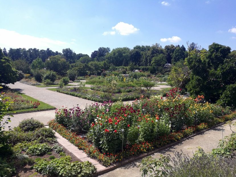  - 2020 Gradina botanica Munchen