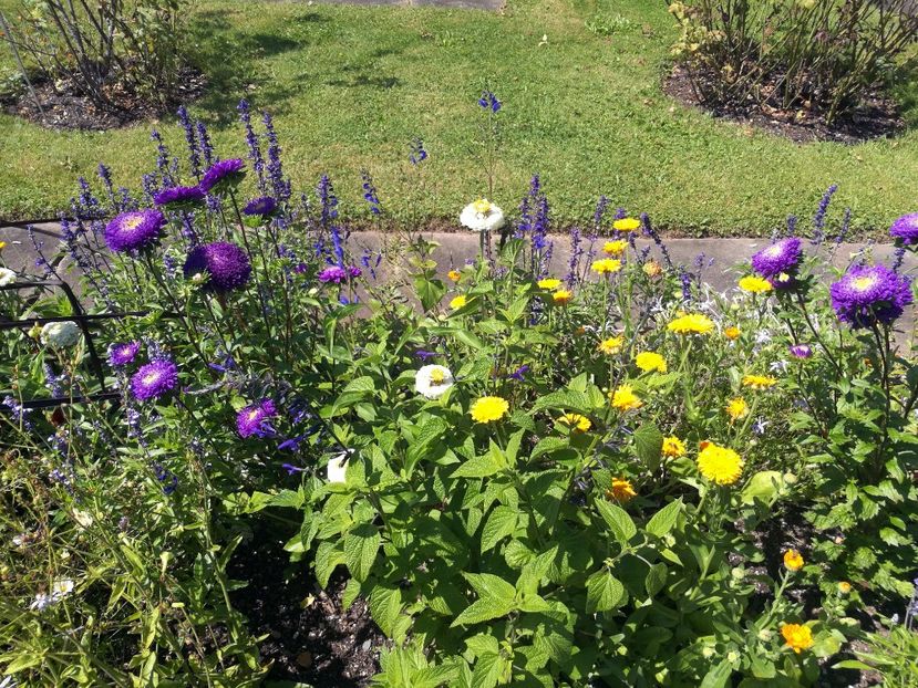  - 2020 Gradina botanica Munchen