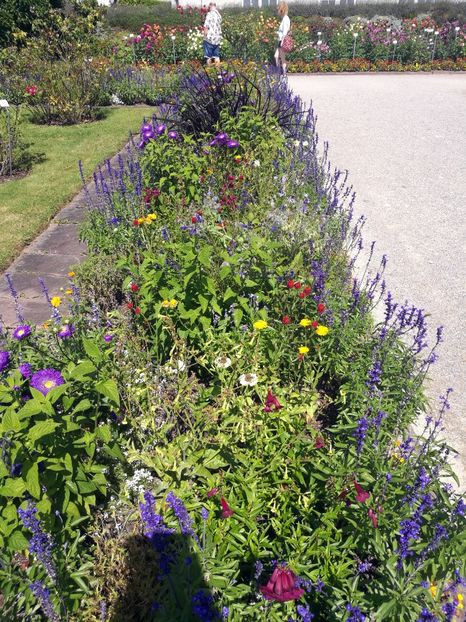  - 2020 Gradina botanica Munchen