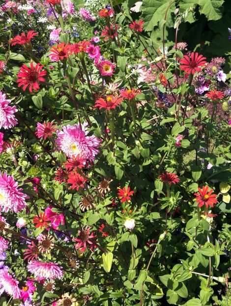  - 2020 Gradina botanica Munchen