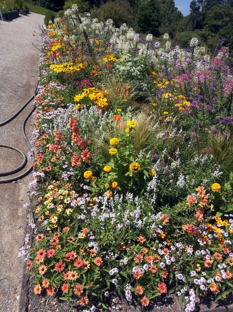  - 2020 Gradina botanica Munchen