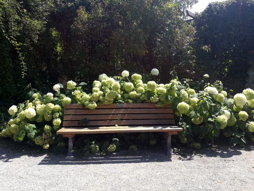  - 2020 Gradina botanica Munchen