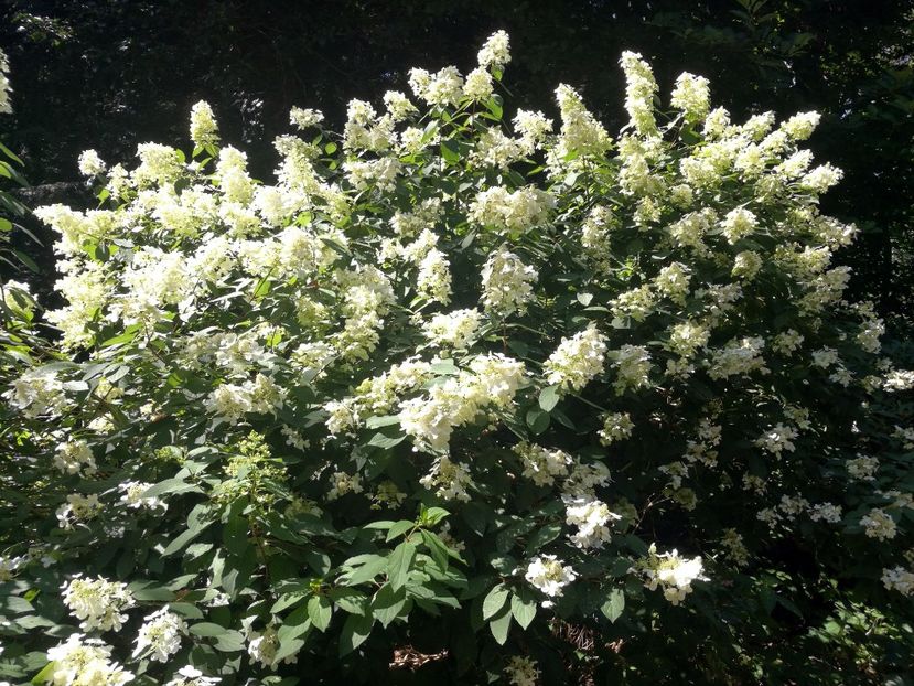  - 2020 Gradina botanica Munchen