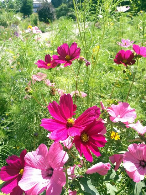  - 2020 Gradina botanica Munchen