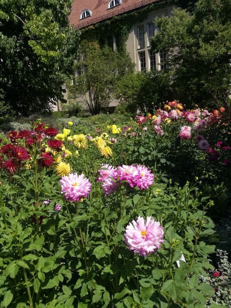  - 2020 Gradina botanica Munchen