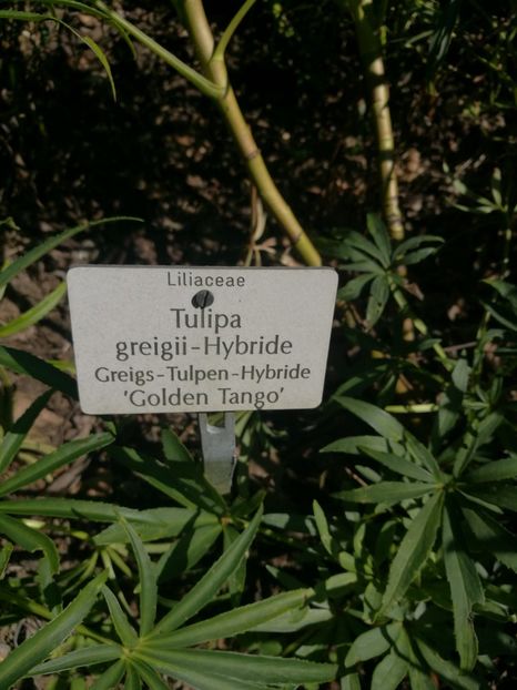  - 2020 Gradina botanica Munchen