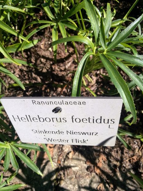  - 2020 Gradina botanica Munchen