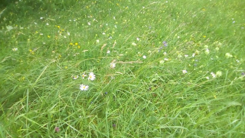 IMG-20200726-WA0055 - Colindand la poarta cerului