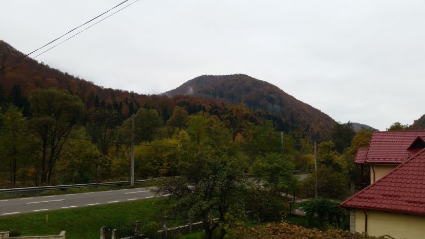  - Colindand la poarta cerului