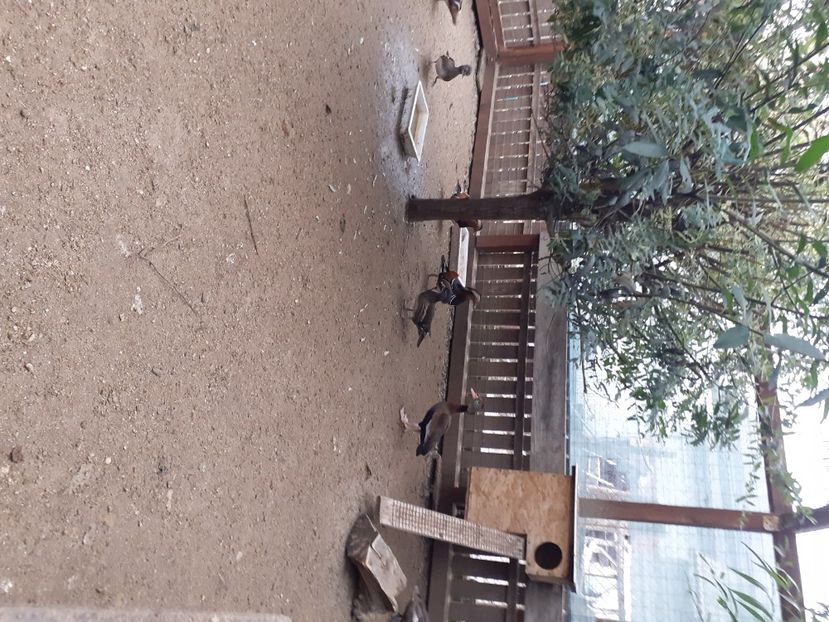  - VAND 2019 tel0766362976