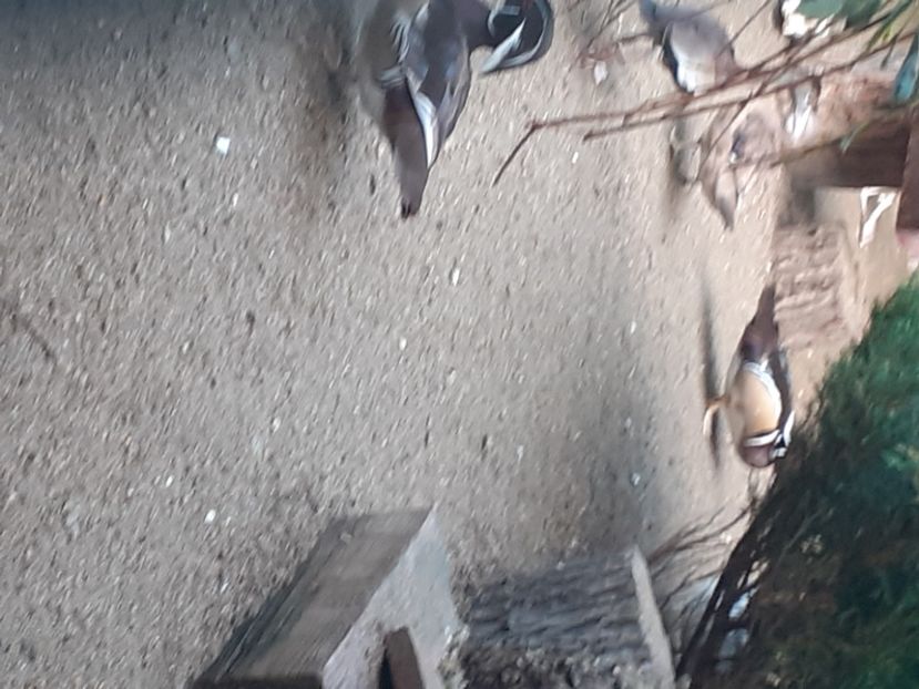  - VAND 2019 tel0766362976