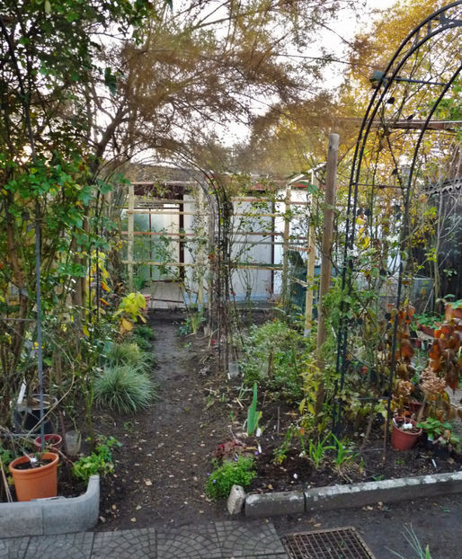 14. Noiembrie - 2020 - 03 - Toamna