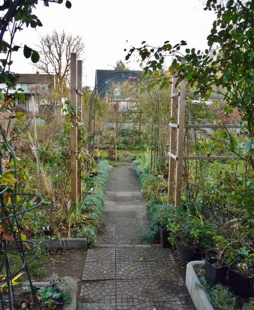  - 2020 - 03 - Toamna