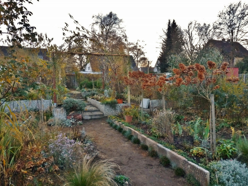 Apus de soare. - 2020 - 03 - Toamna