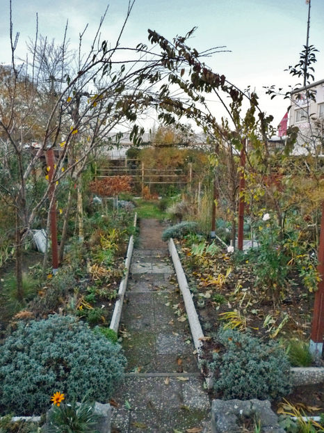  - 2020 - 03 - Toamna