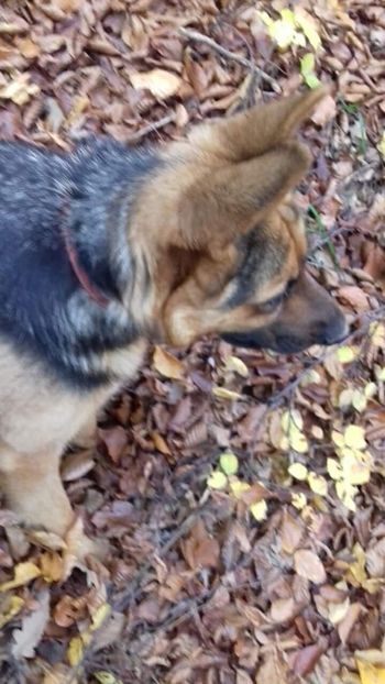 received_1062062874242032 - Kira