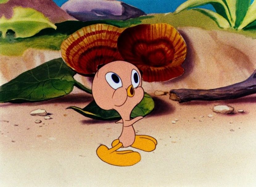 Looney Tunes - Looney Tunes Part 2