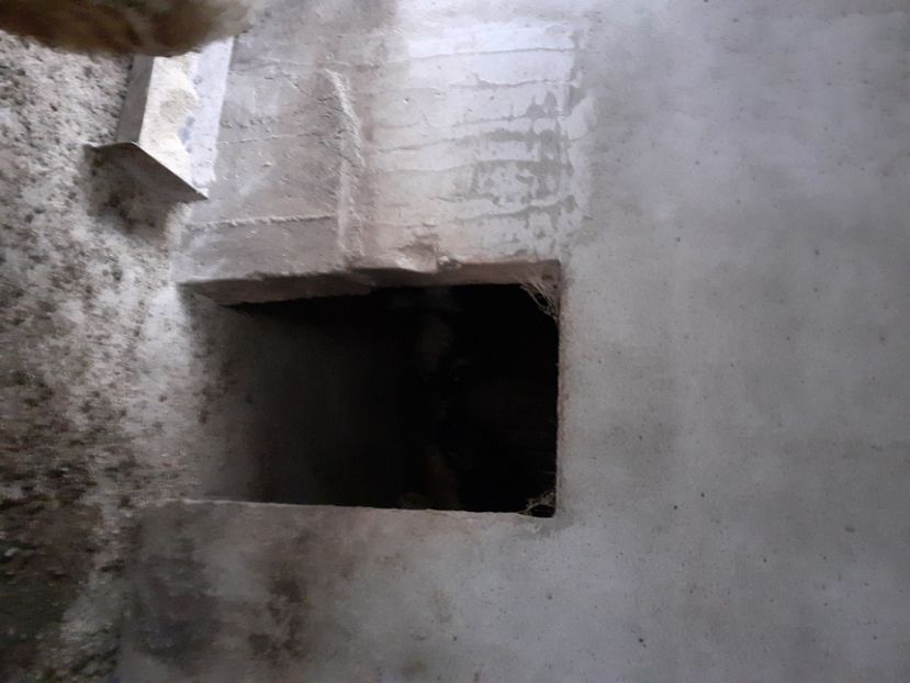  - Mica Crescătorie de porci 2020
