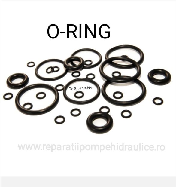 garnituri O-RING - Reparatii Pompe Hidraulice