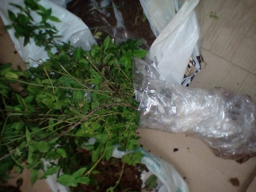 IMG-20201113-WA0016 - w Produse livrate