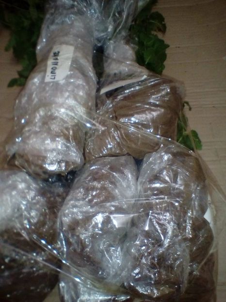 IMG-20201113-WA0015 - w Produse livrate