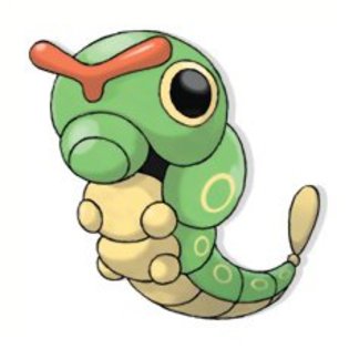 caterpie