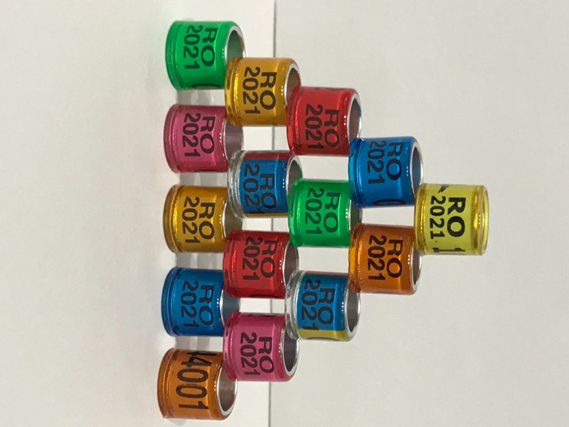 463EAD2B-4BC6-4287-B17E-D90E01DC8DA9 - 0000 Inele Porumbei 2021