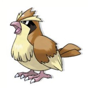 pidgey - pokemon