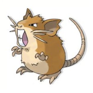 raticate - pokemon