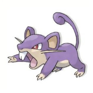 rattata - pokemon