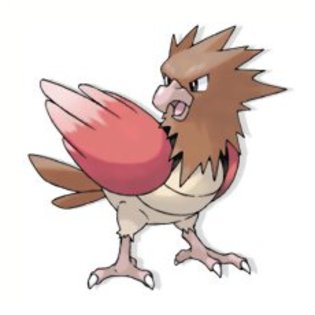 spearow