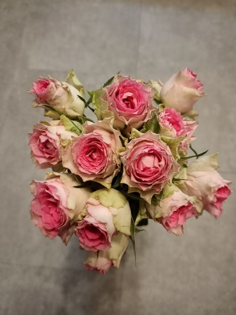 19.11.2020 - Z-Buchete