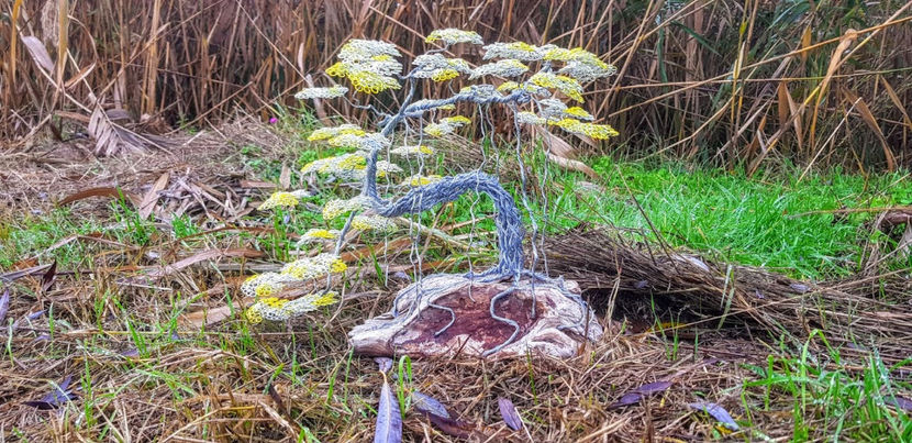  - POMISORI Feng shui - de vanzare