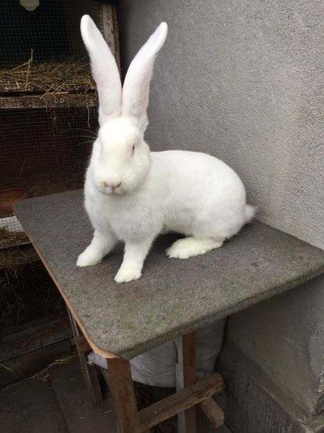 39C14354-7C33-4BC0-8716-D995EB84D3E4 - RO16-2011