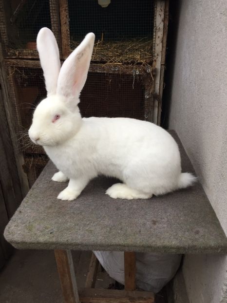 8F406A52-8ED8-45C2-B7D1-044A51BE9D18 - RO16-2011