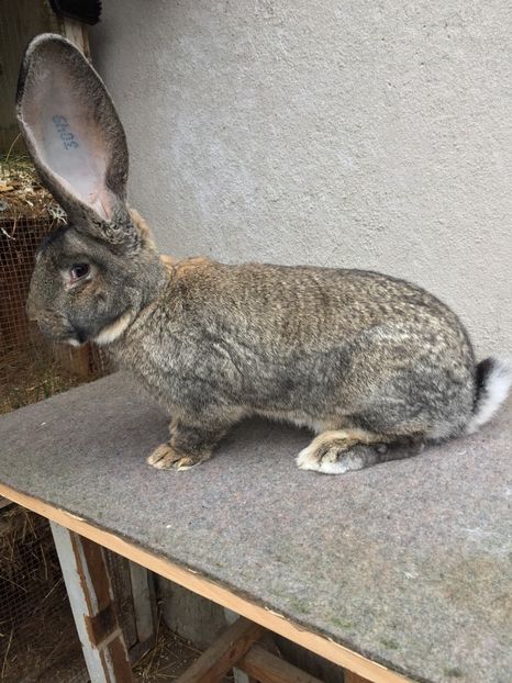 45995855-35BE-4CB5-9912-512DEEC62DAE - RO 8-3049