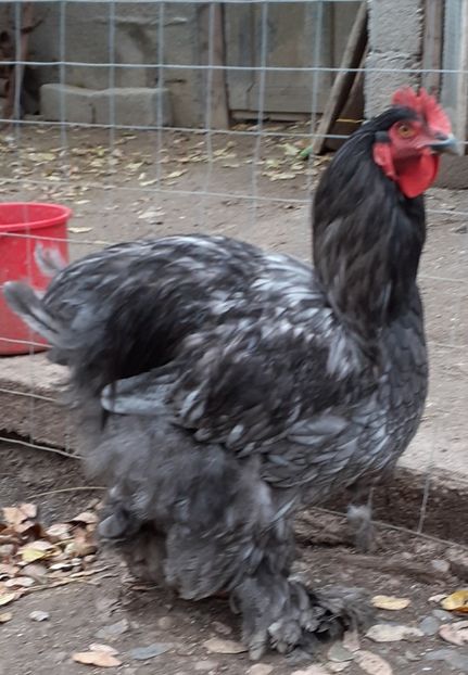  - Agh vanduti 2019-2020-2021-2022-2024 2025