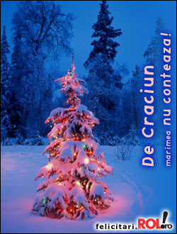 craciun11