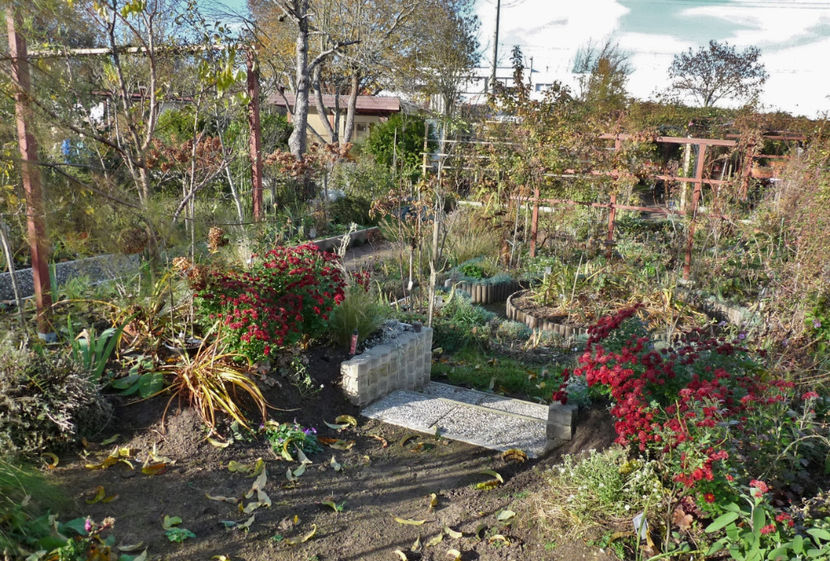 18. Noiembrie - 2020 - 03 - Toamna