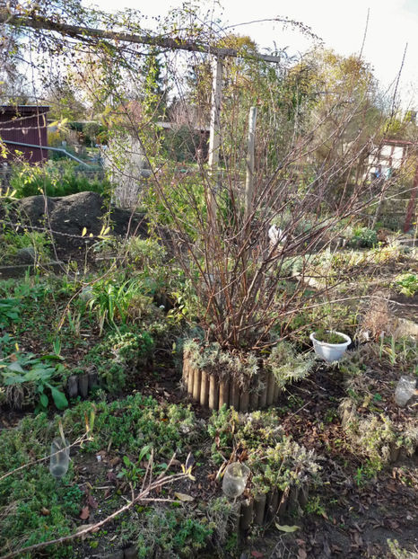  - 2020 - 03 - Toamna