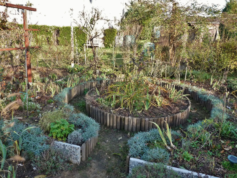  - 2020 - 03 - Toamna