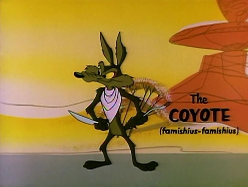 Road Runner and Wile E Coyote - Road Runner and Wile E Coyote