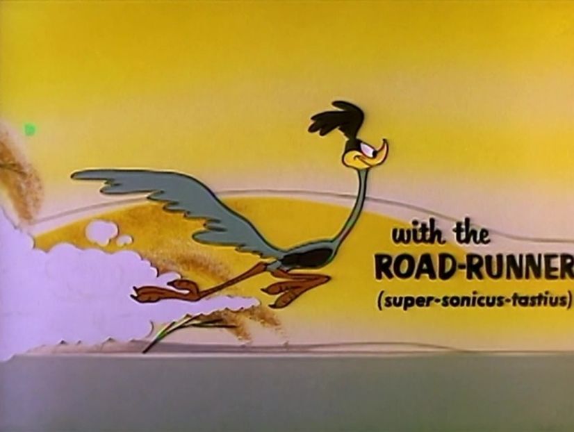 Road Runner and Wile E Coyote - Road Runner and Wile E Coyote