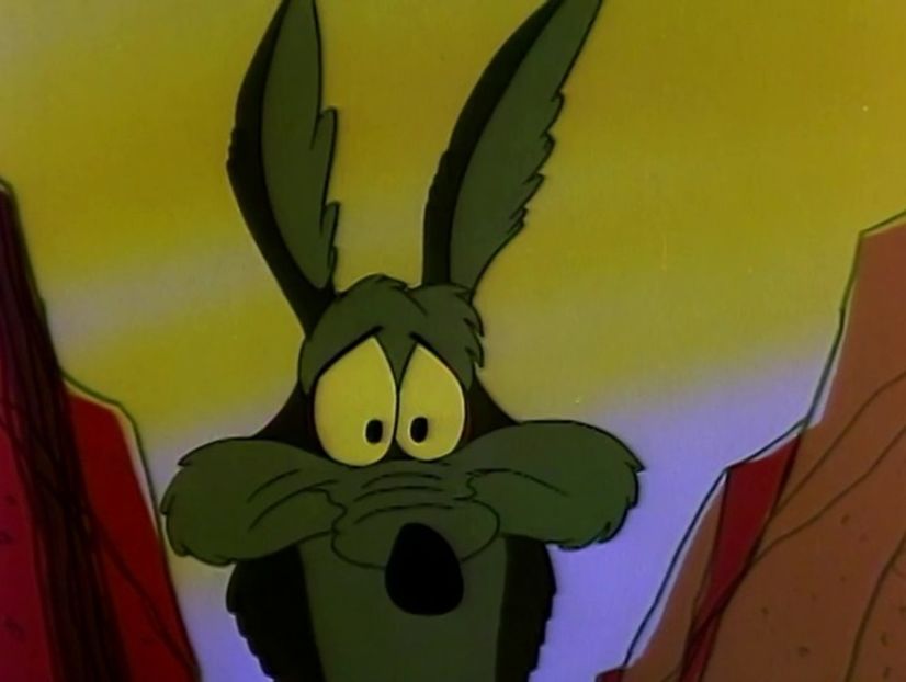 Road Runner and Wile E Coyote - Road Runner and Wile E Coyote