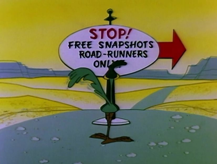 Road Runner and Wile E Coyote - Road Runner and Wile E Coyote