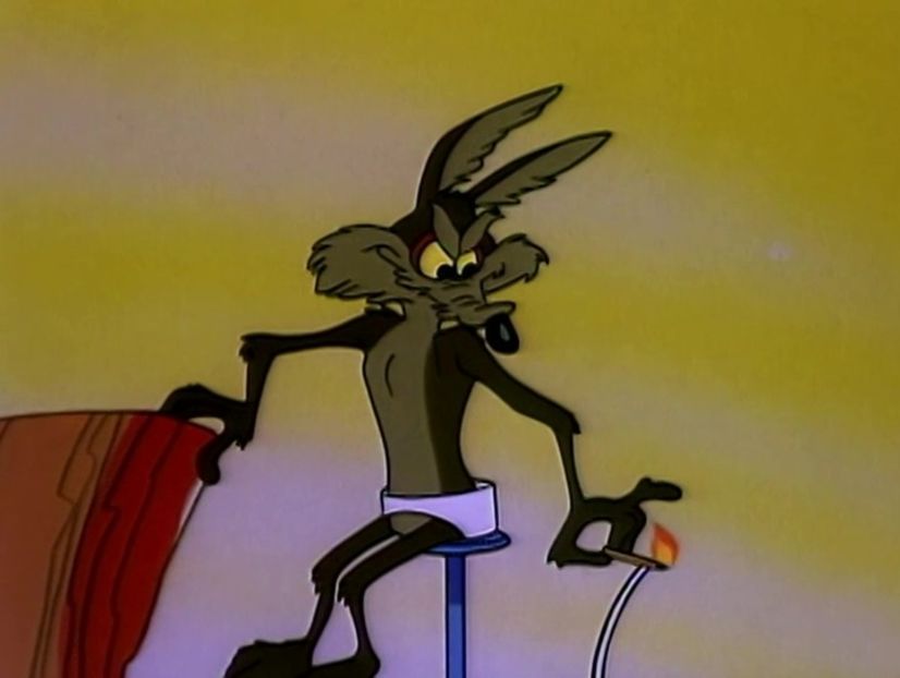 Road Runner and Wile E Coyote - Road Runner and Wile E Coyote