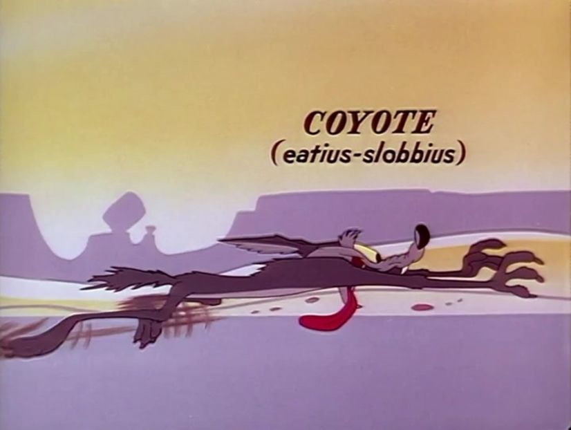 Road Runner and Wile E Coyote - Road Runner and Wile E Coyote