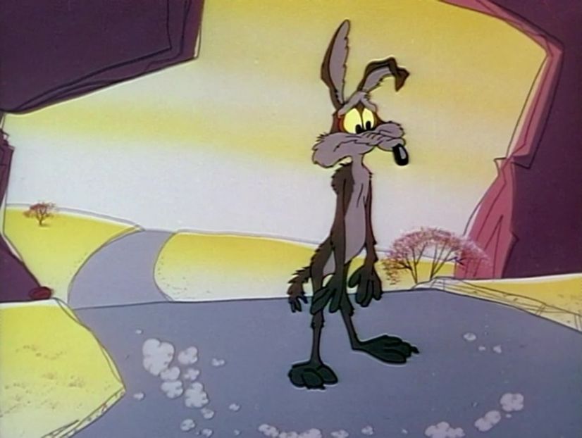 Road Runner and Wile E Coyote - Road Runner and Wile E Coyote