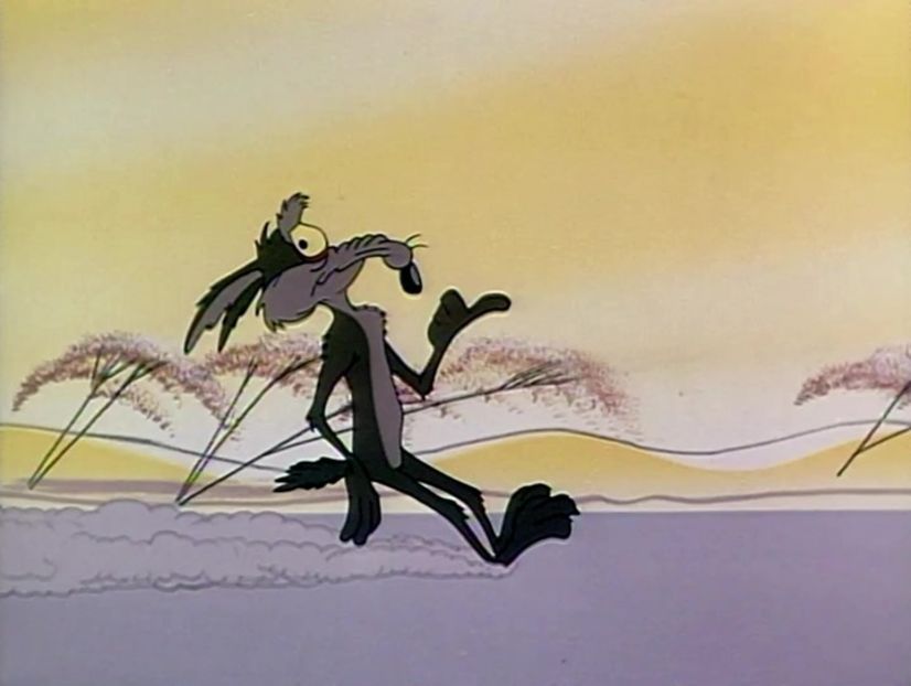 Road Runner and Wile E Coyote - Road Runner and Wile E Coyote