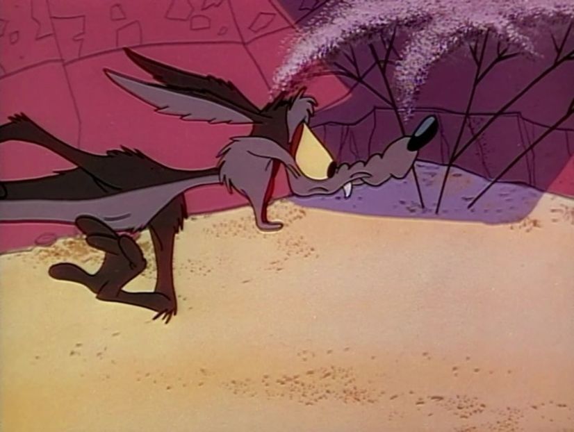 Road Runner and Wile E Coyote - Road Runner and Wile E Coyote